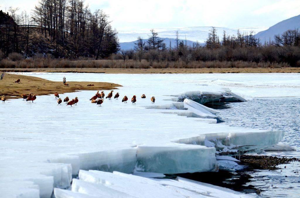 Гуравдугаар сарын цаг агаарын төлөв